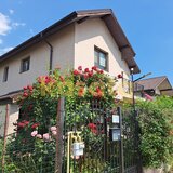 Bragadiru, Safirului, casa individuala, 3 dormitoare, 300 mp